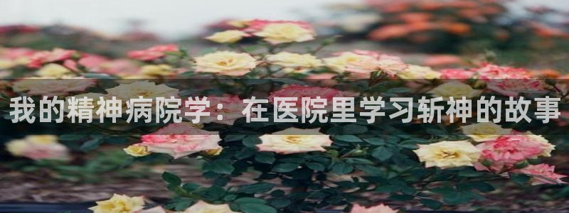 香蕉漫画在线观看入口免费