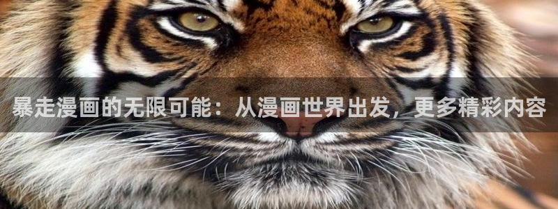 香蕉漫画在线免费