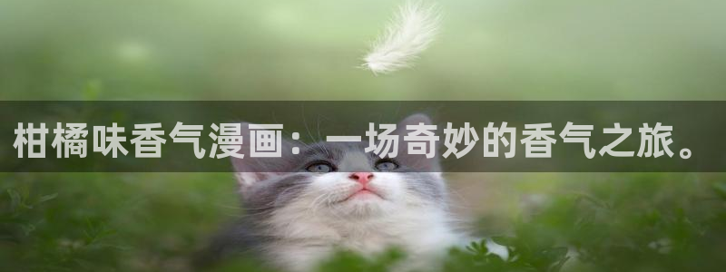 香蕉漫画官