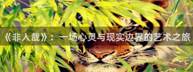 香蕉漫画动漫小说下拉式