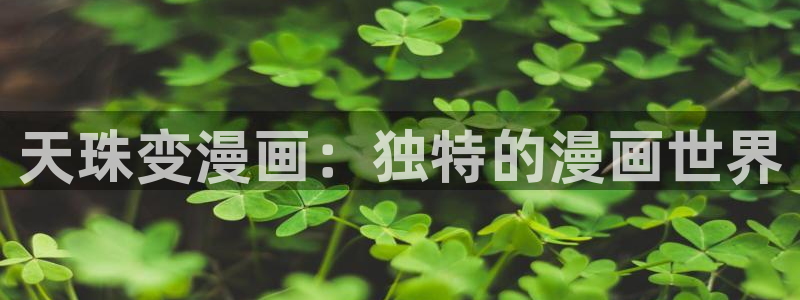 香蕉漫画网络